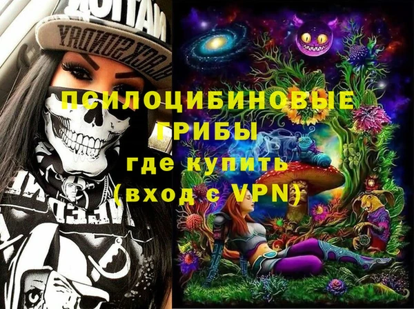 apvp Алзамай