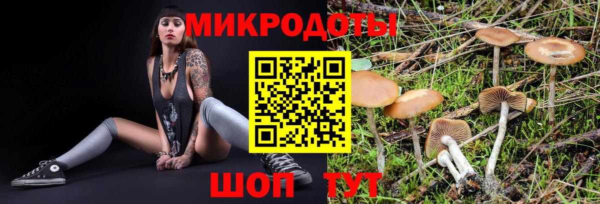 купить закладку  Вход с VPN  Ангарск  Галлюциногенные грибы мухоморы 