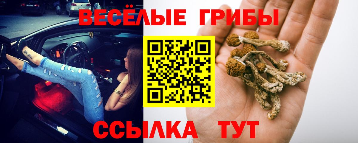Галлюциногенные грибы ЛСД Ангарск